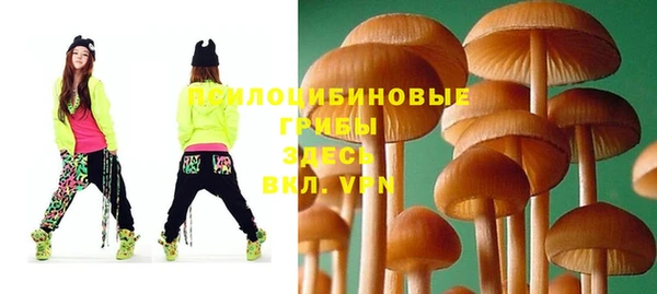 соль ск Лагань