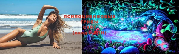 соль ск Лагань