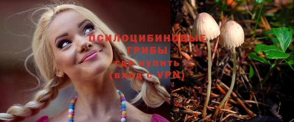 сатива Ладушкин