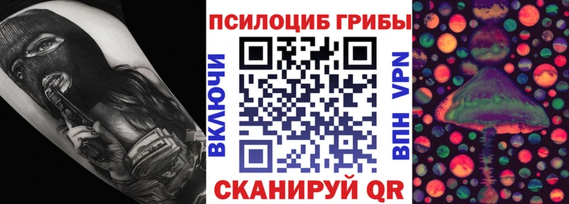 МЕГА как войти  Ноябрьск  Галлюциногенные грибы Psilocybine cubensis  наркота 