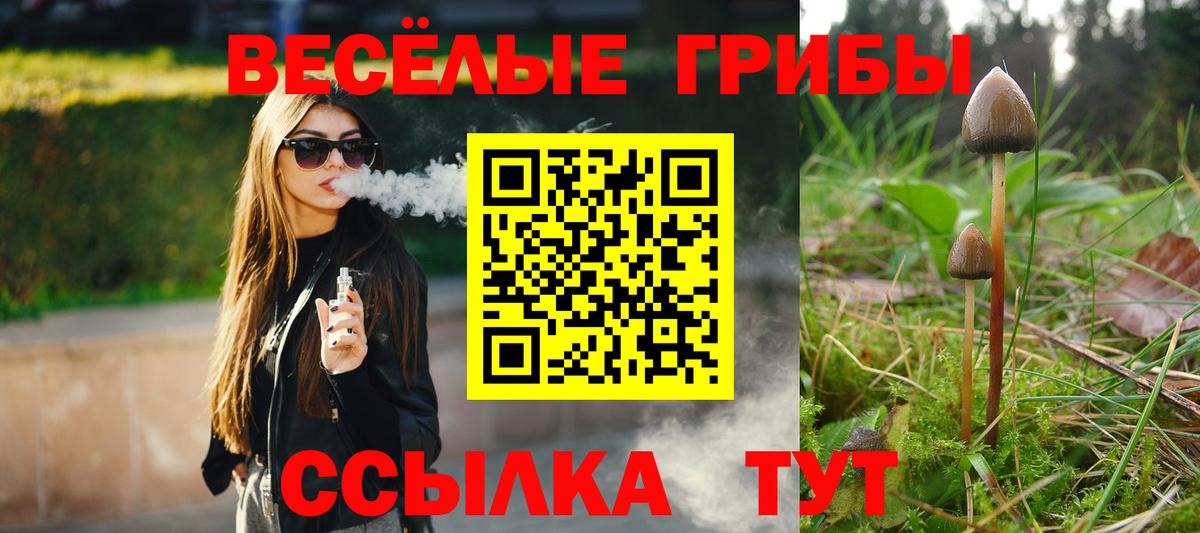 Галлюциногенные грибы Psilocybine cubensis  Псилоцибиновые грибы прущие грибы  Вход с VPN  Ноябрьск 