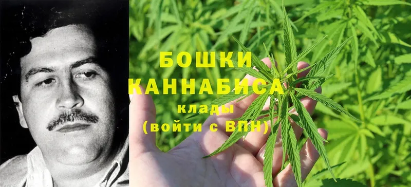 Шишки марихуана конопля  Ноябрьск 